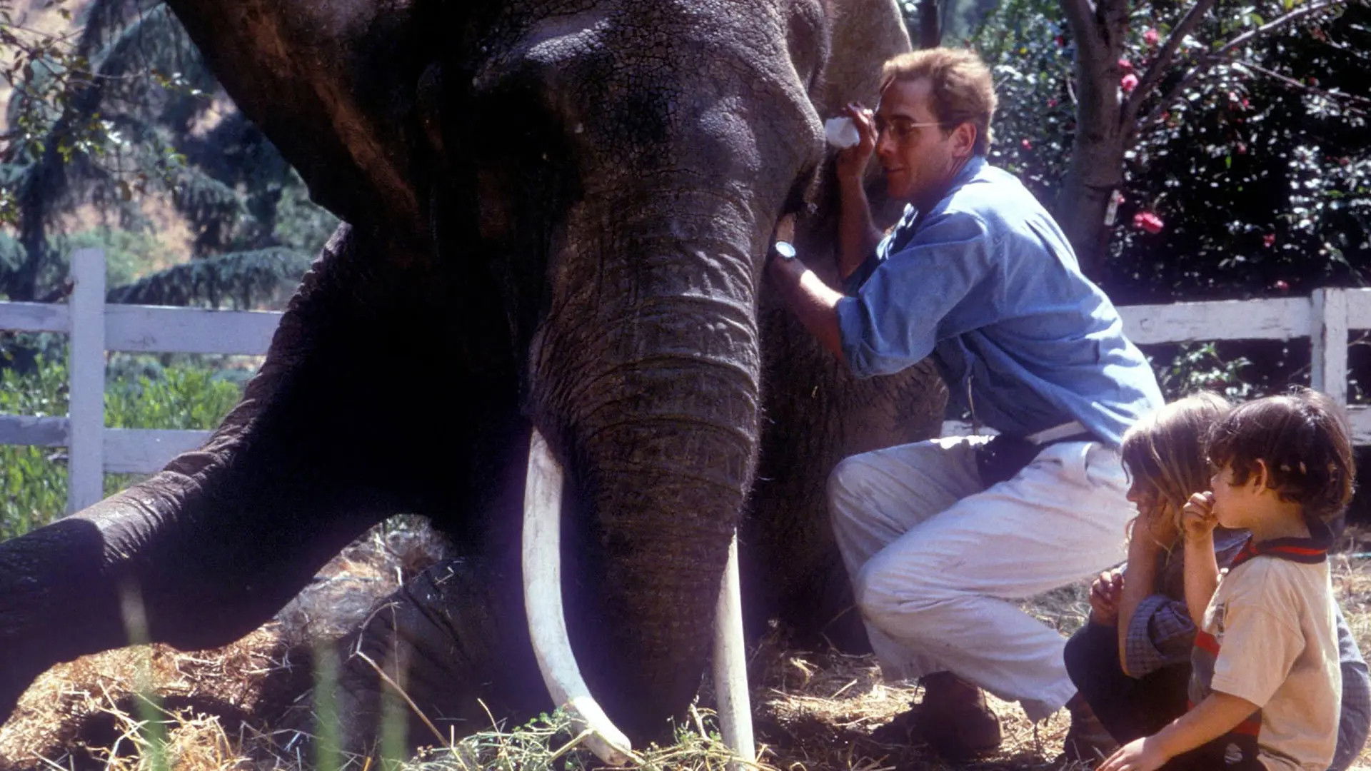 Backdrop for Malaika