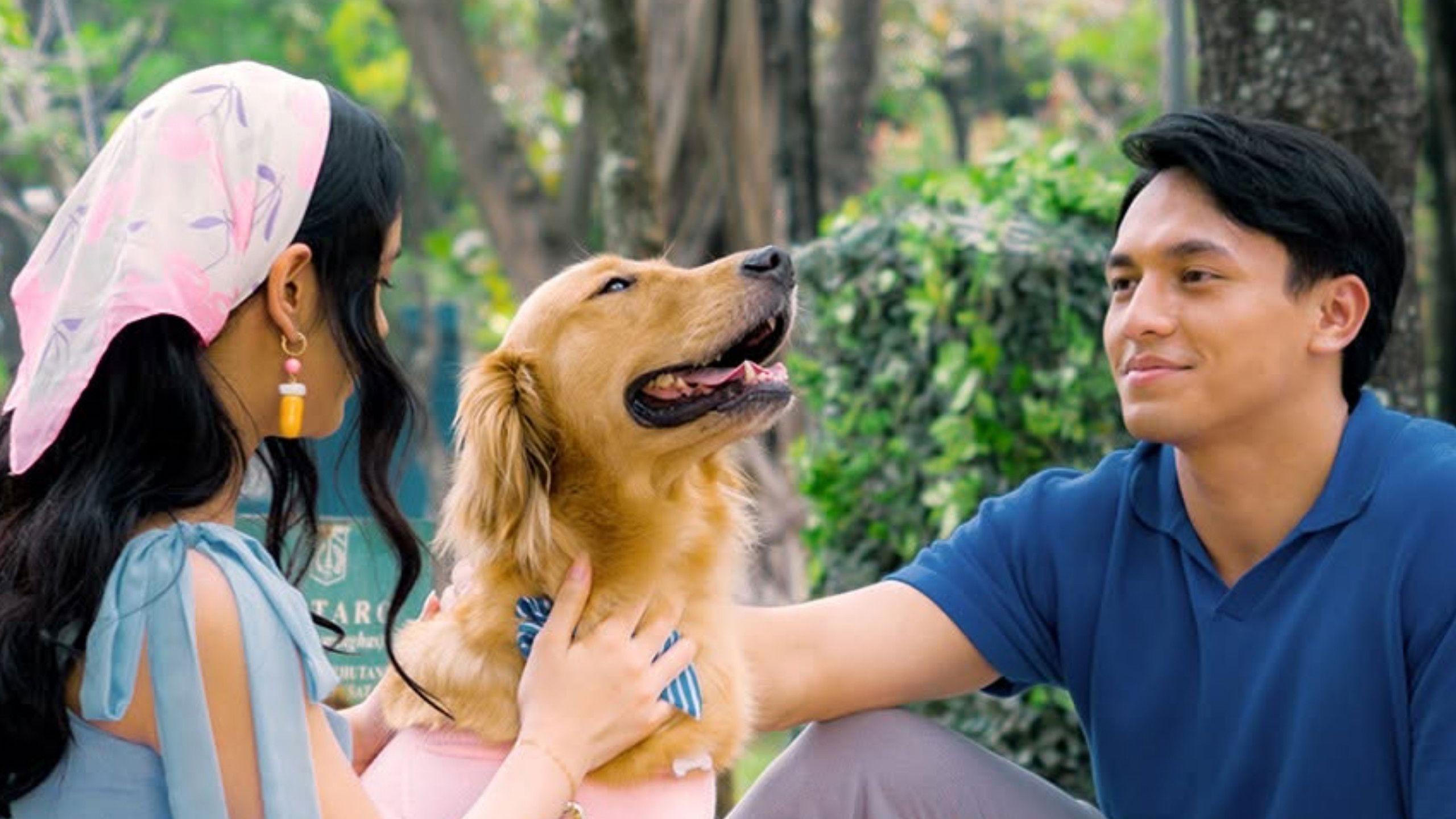 Backdrop for Alibii.com