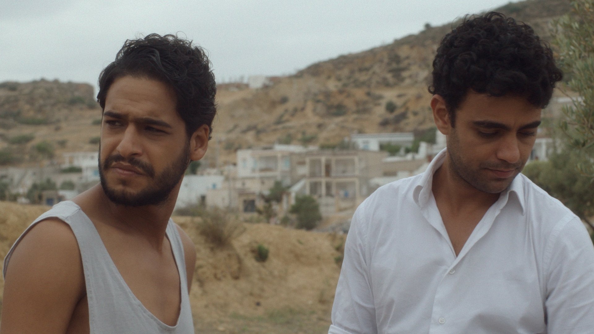 Backdrop for The Guest