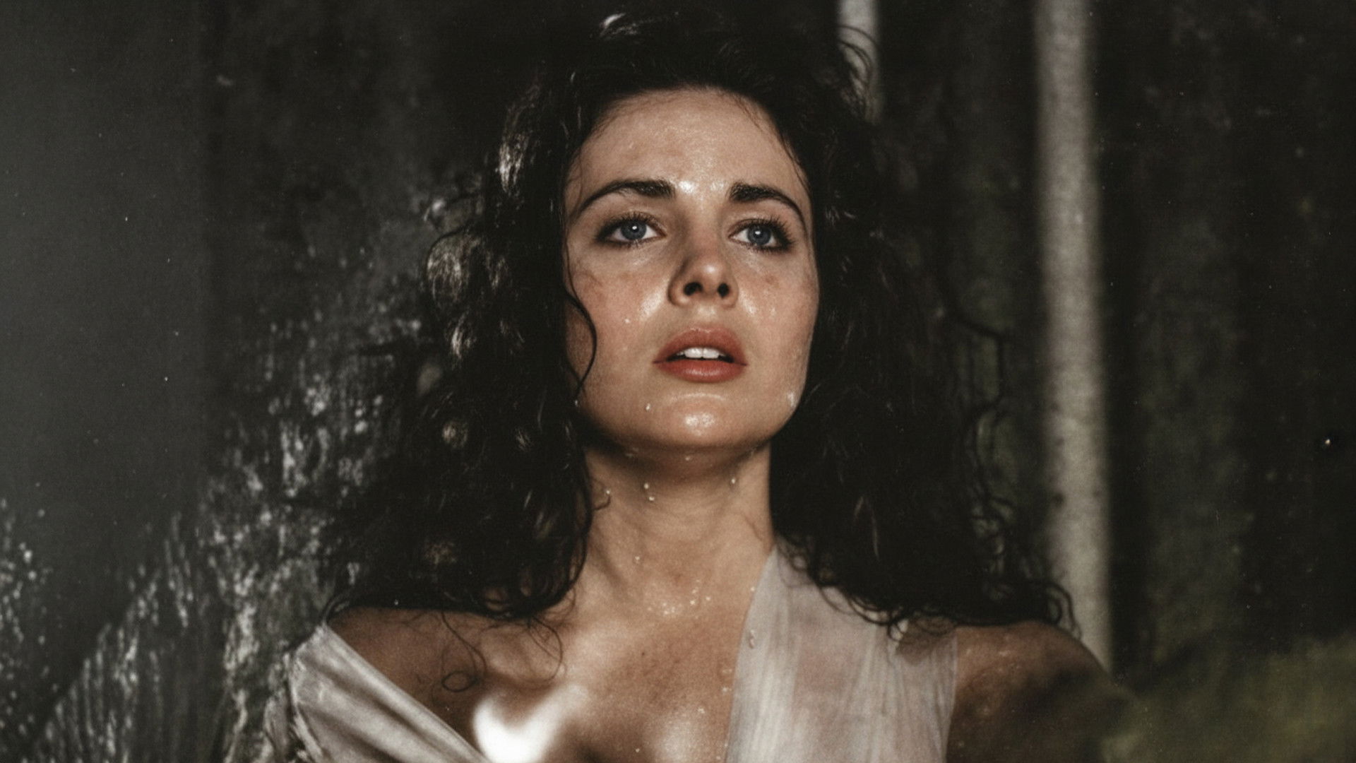 Backdrop for Loves with Gravity: The Knight, Snow White and The Traitor