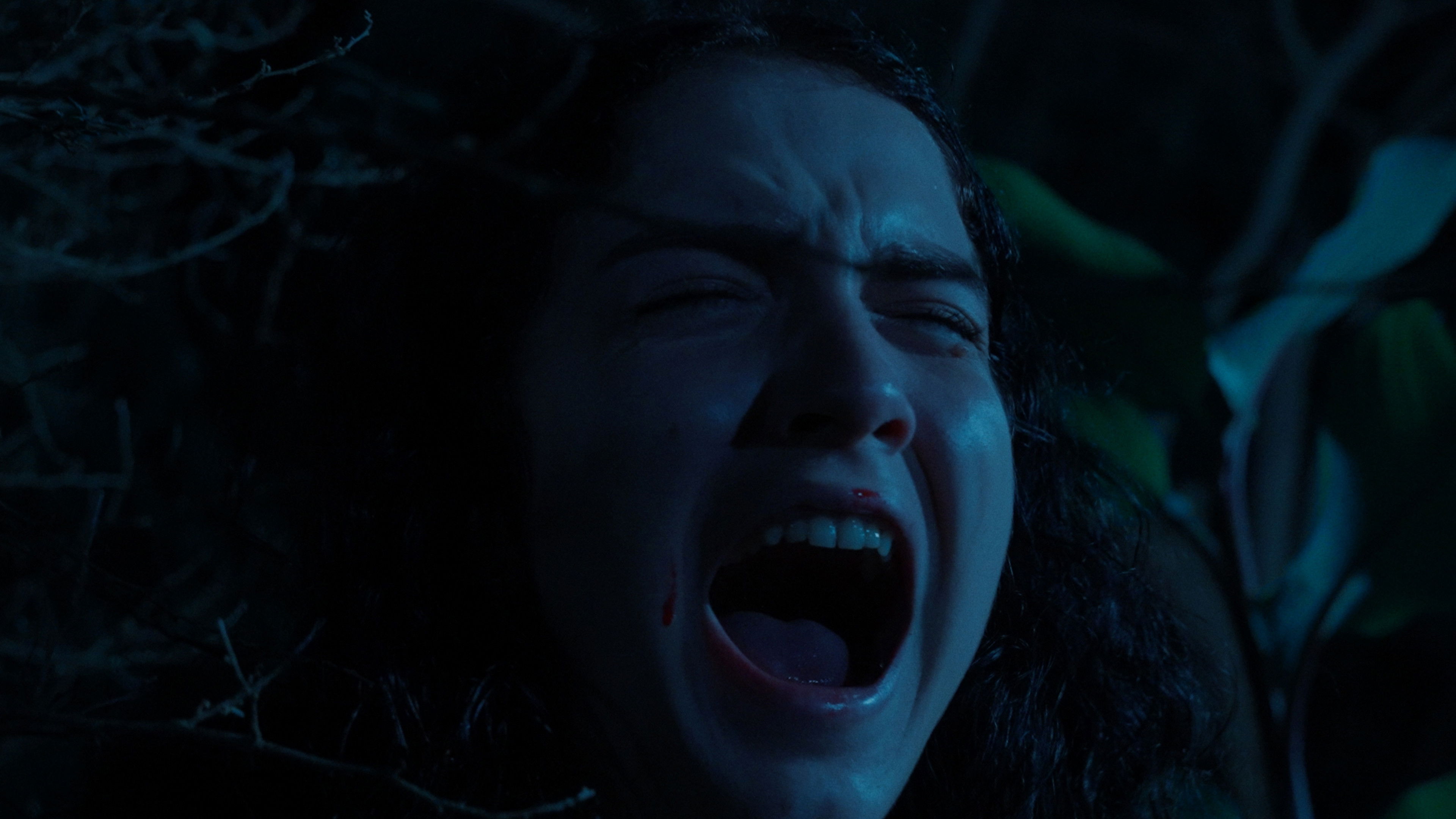 Backdrop for El llanto del perro