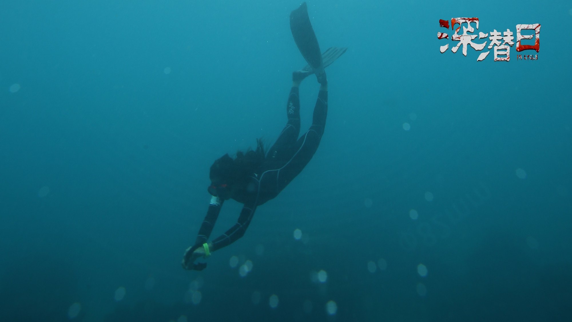 Backdrop for In Cycle