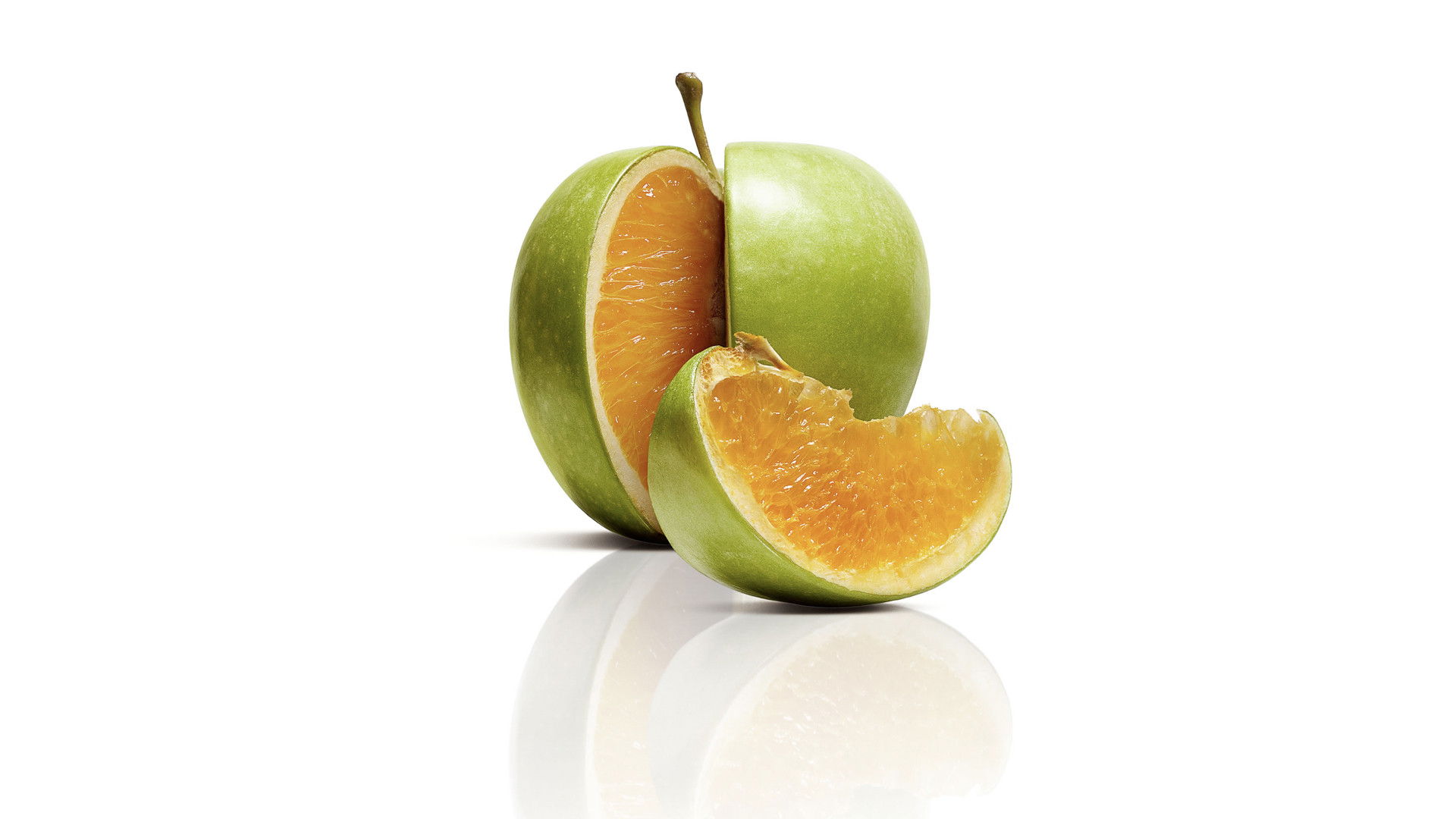 Backdrop for Freakonomics