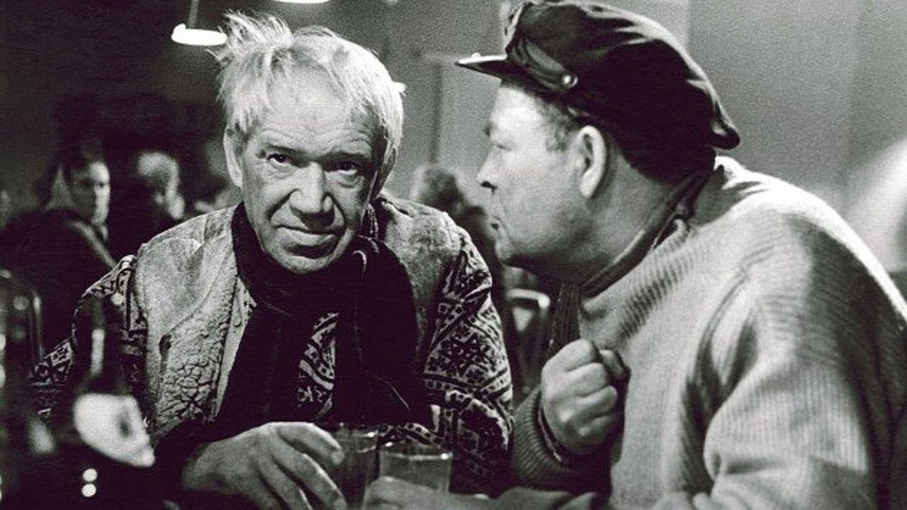 Backdrop for Letters from the Island of the Insane