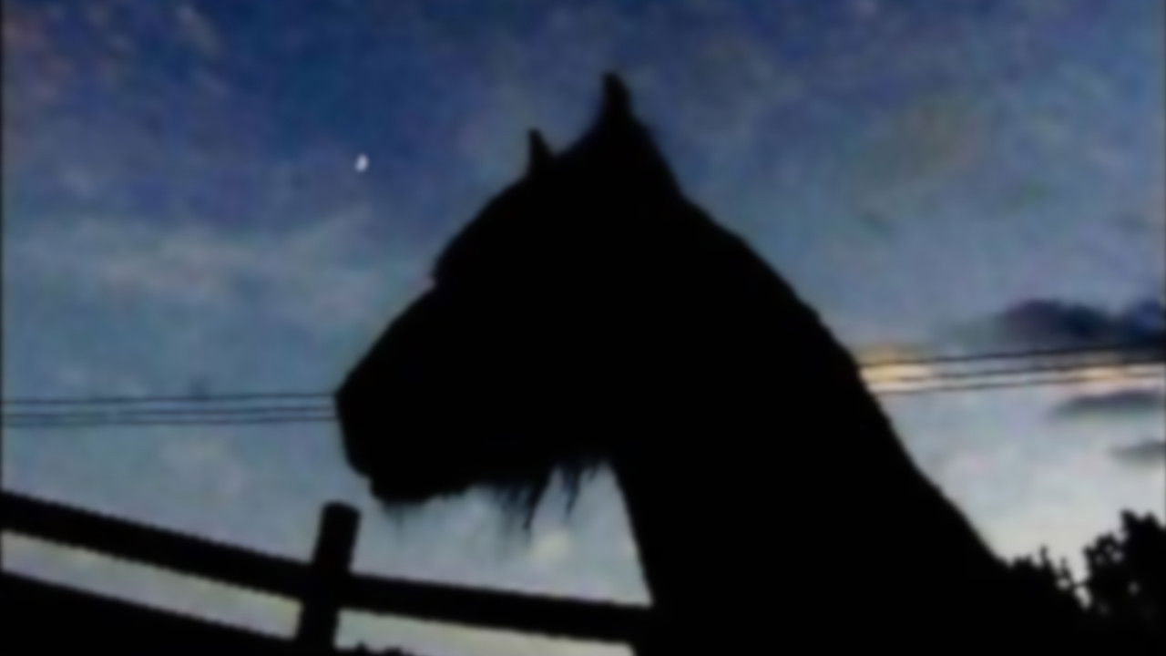 Backdrop for The Circus Horse