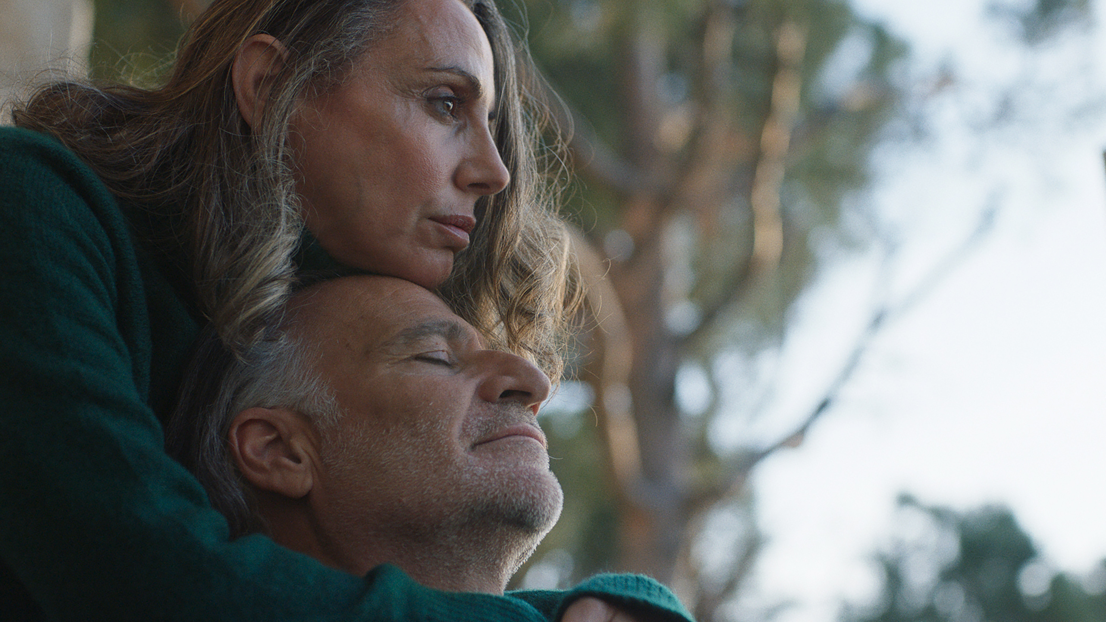 Backdrop for Dead Dog