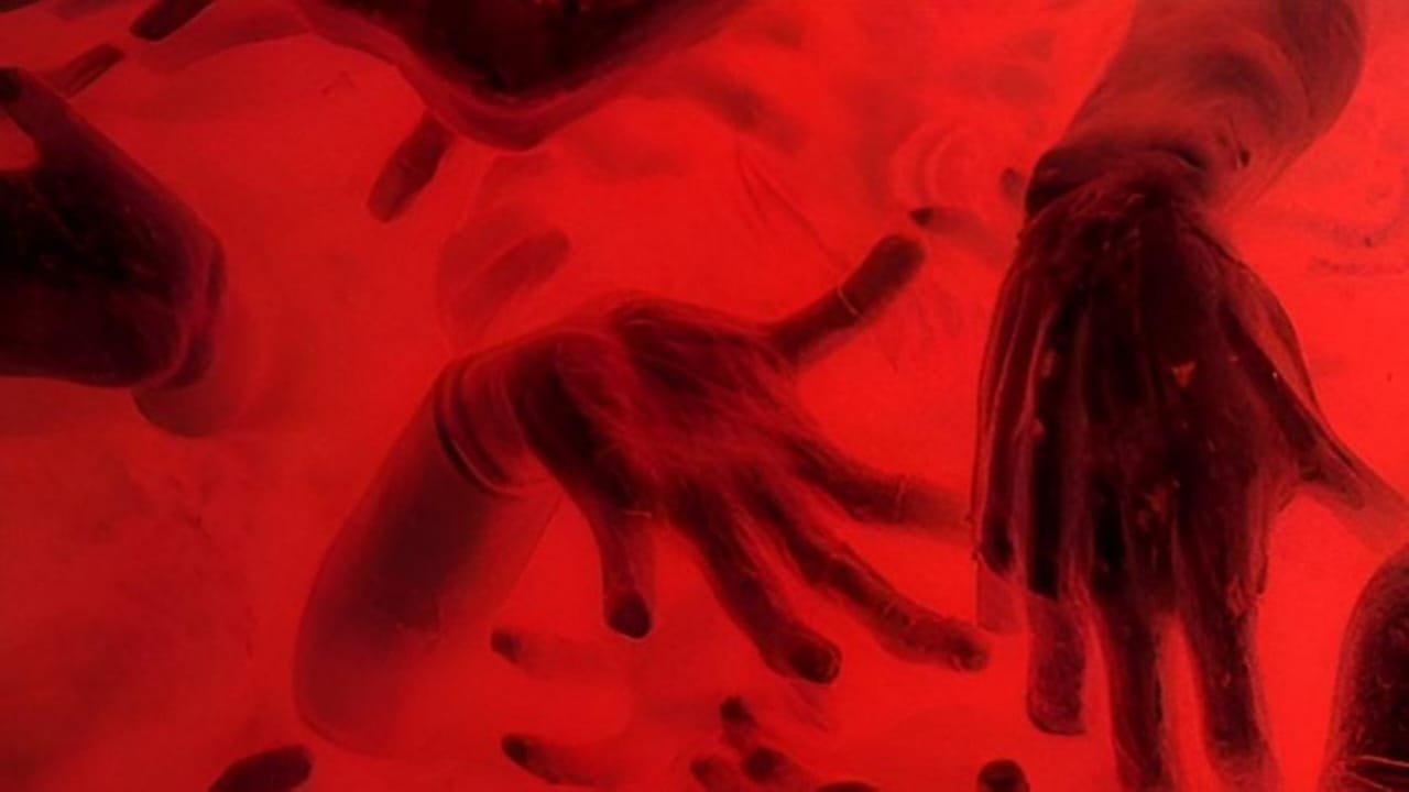 Backdrop for Ensuring Your Place In Hell Vol. V