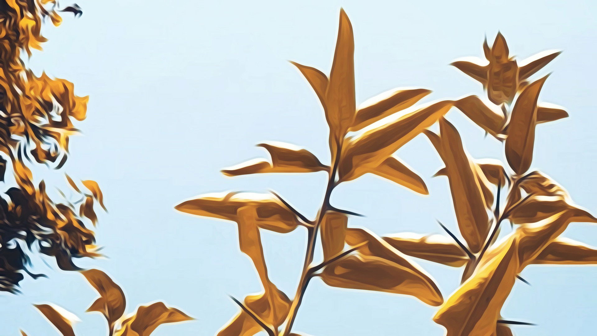 Backdrop for Now that Summer is Gone...