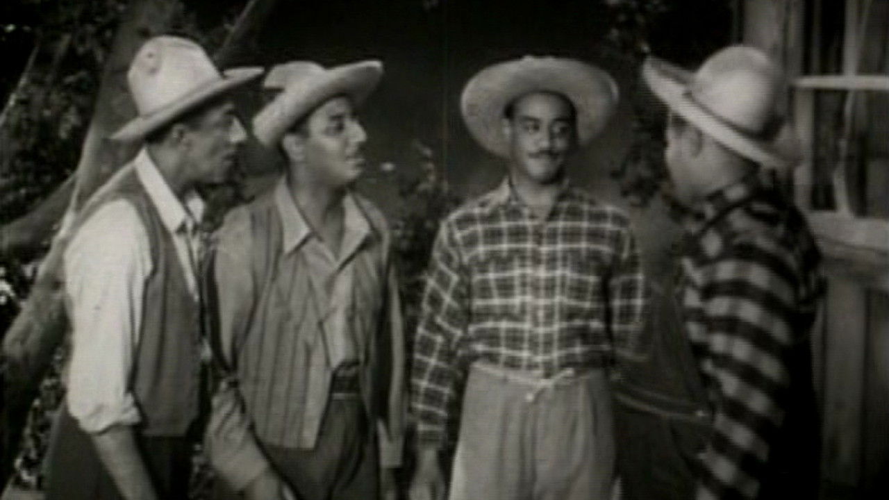 Backdrop for Caravan