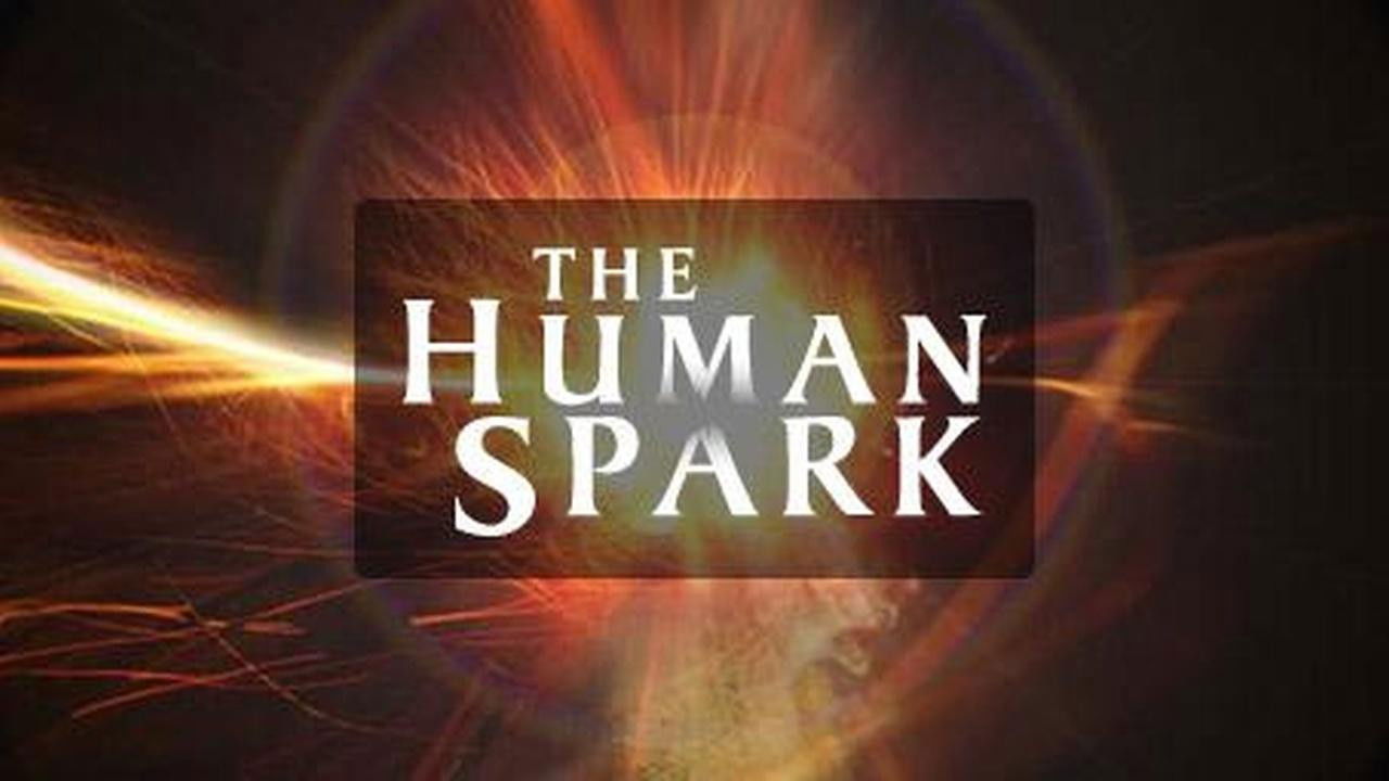Backdrop for The Human Spark