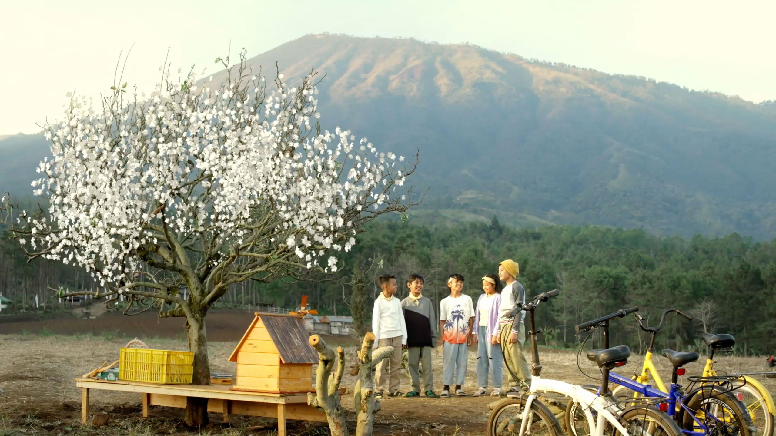 Backdrop for Golden Apple Squads