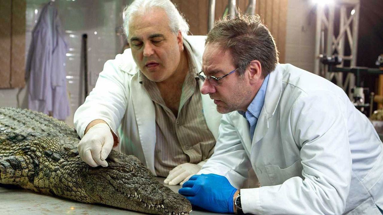 Backdrop for Das Krokodil - Innenansichten eines Kraftpakets