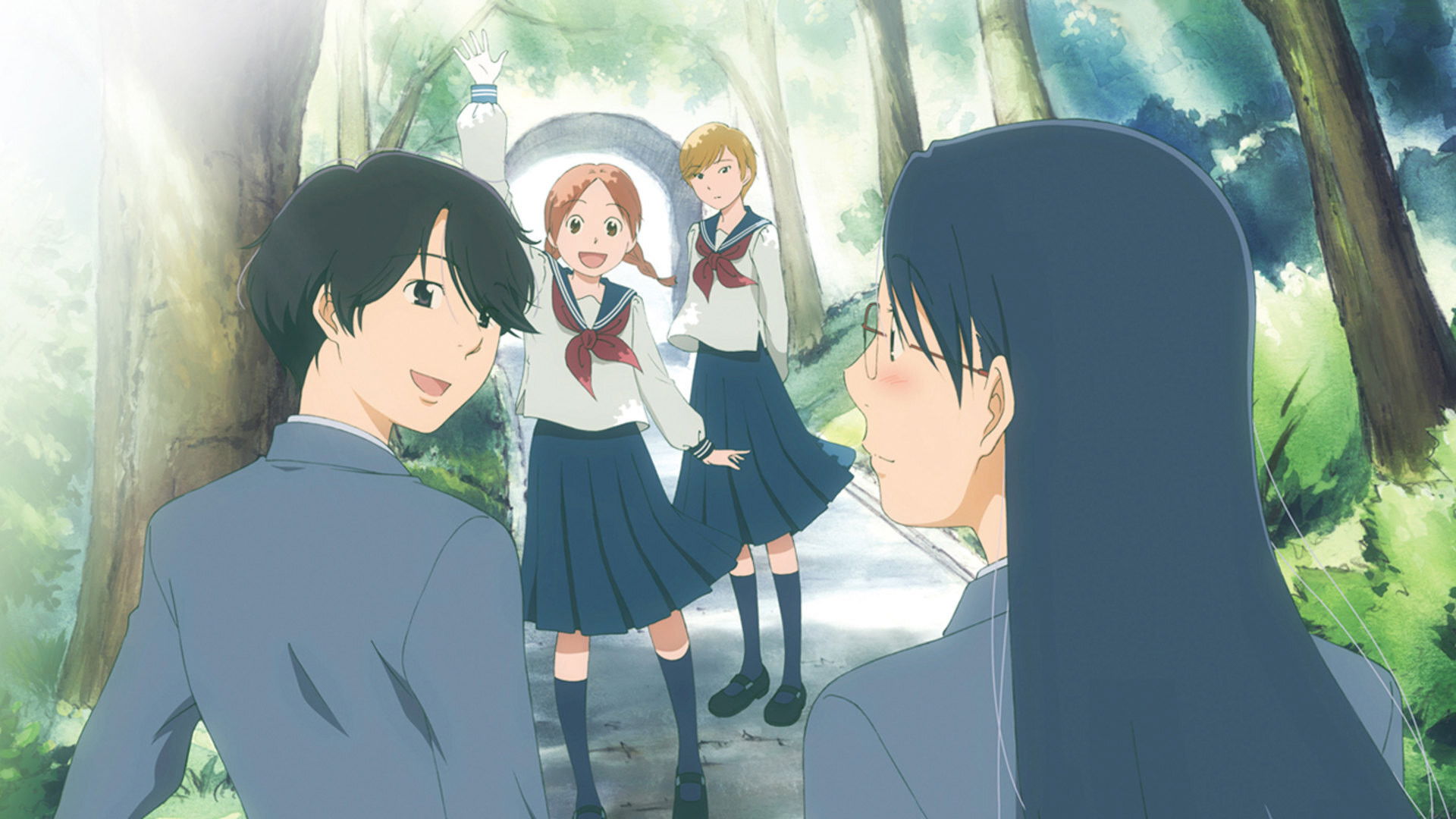 Backdrop for Sweet Blue Flowers