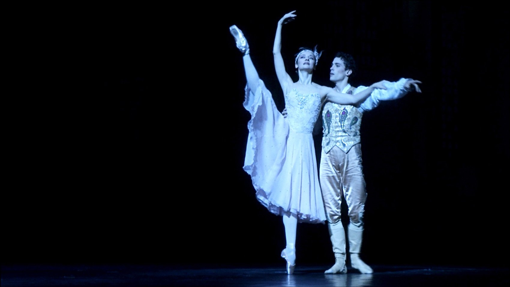 Backdrop for Agnès Letestu: A Shining Star