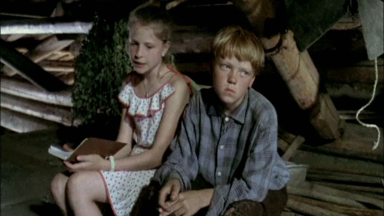 Backdrop for Housekeeper and Lacemaker