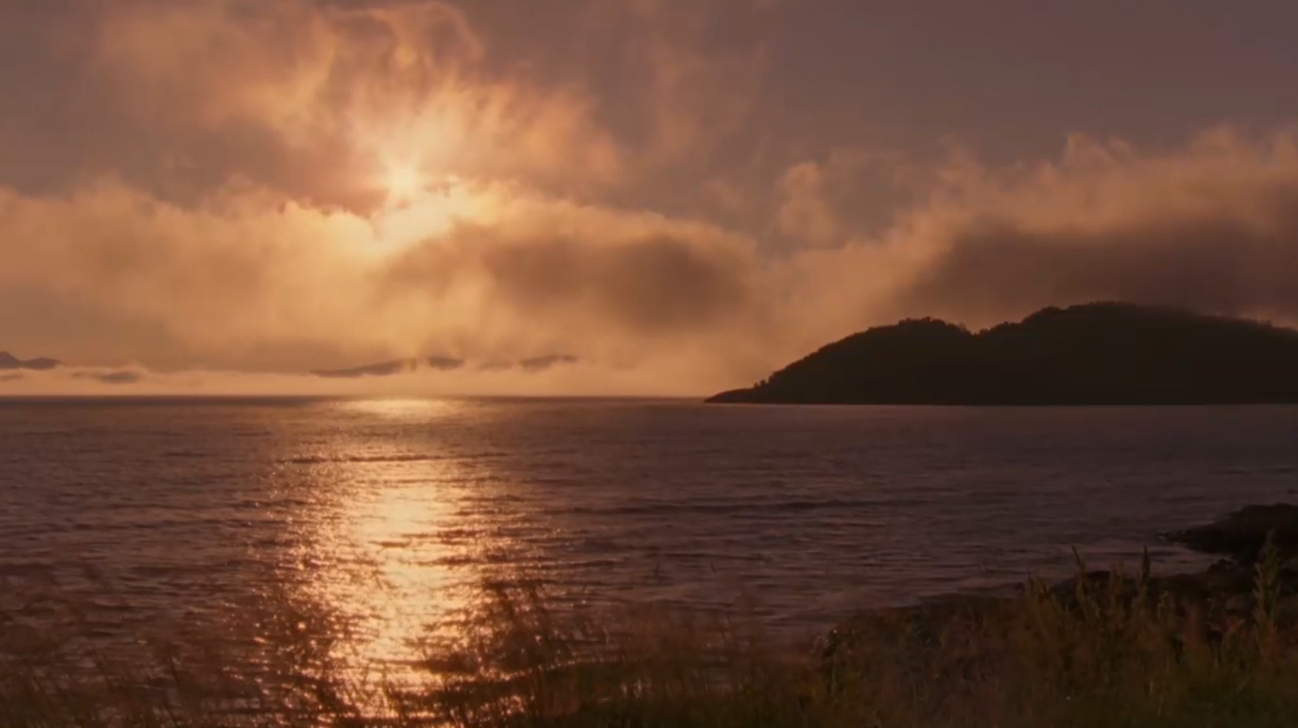 Backdrop for Jäger der Lüfte - Habichte, Bussarde und Adler