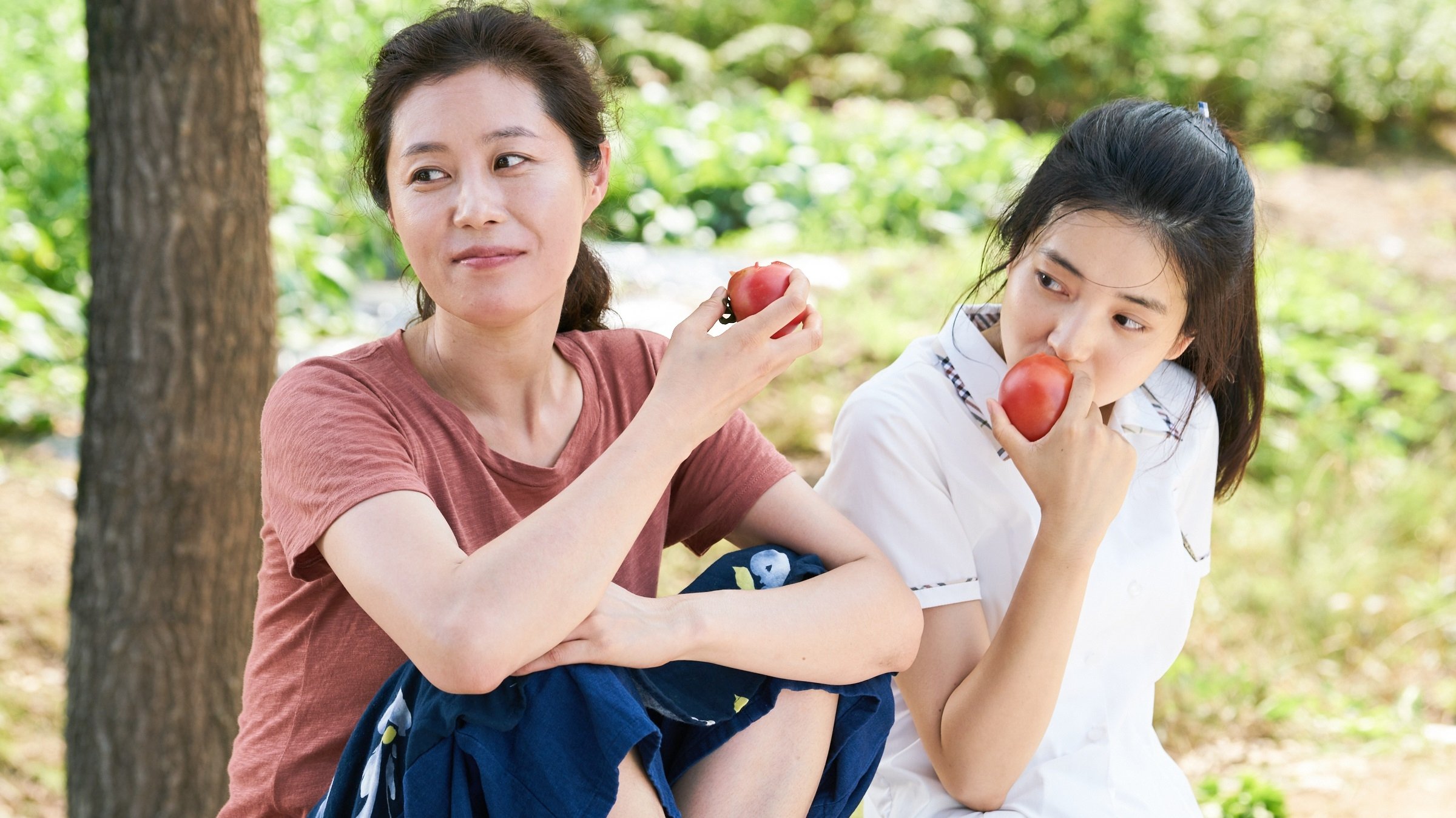 Backdrop for Little Forest