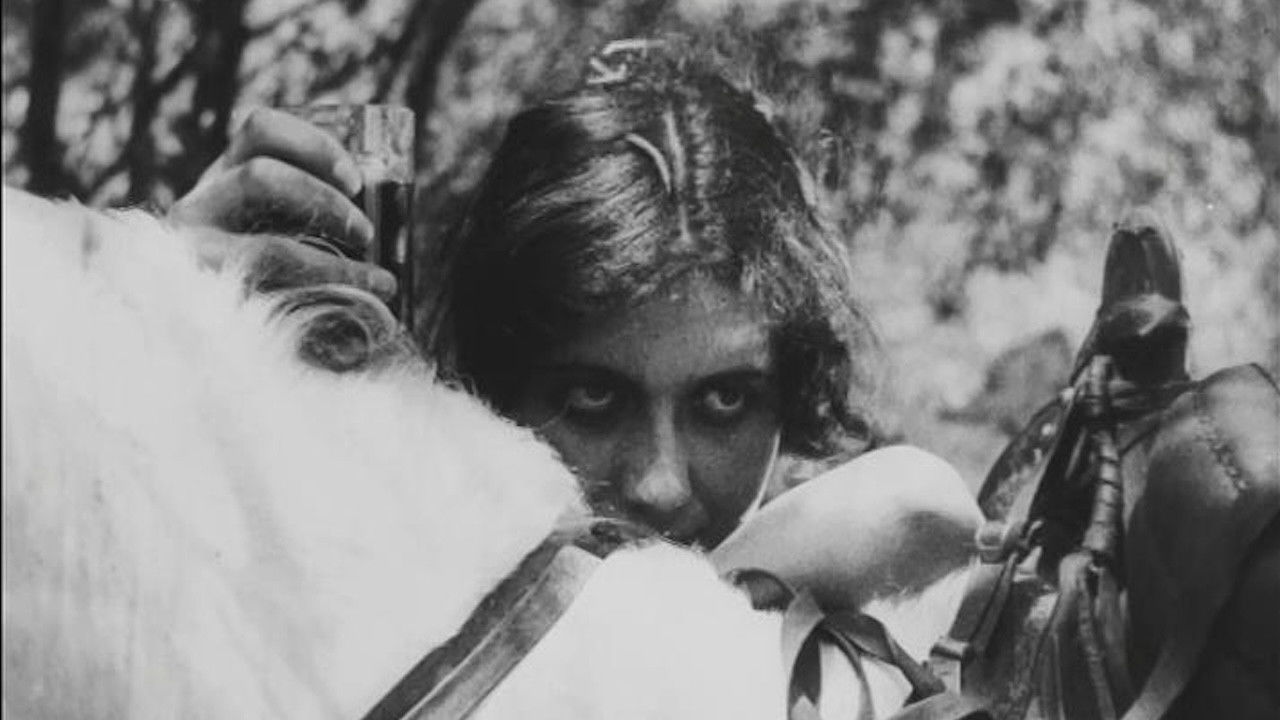 Backdrop for The Case of the Murder of Tariel Mklavadze