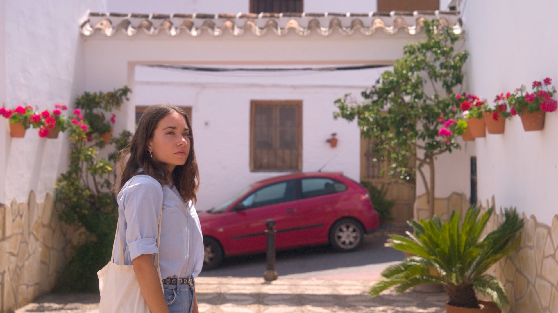 Backdrop for Estoy buscando un perro