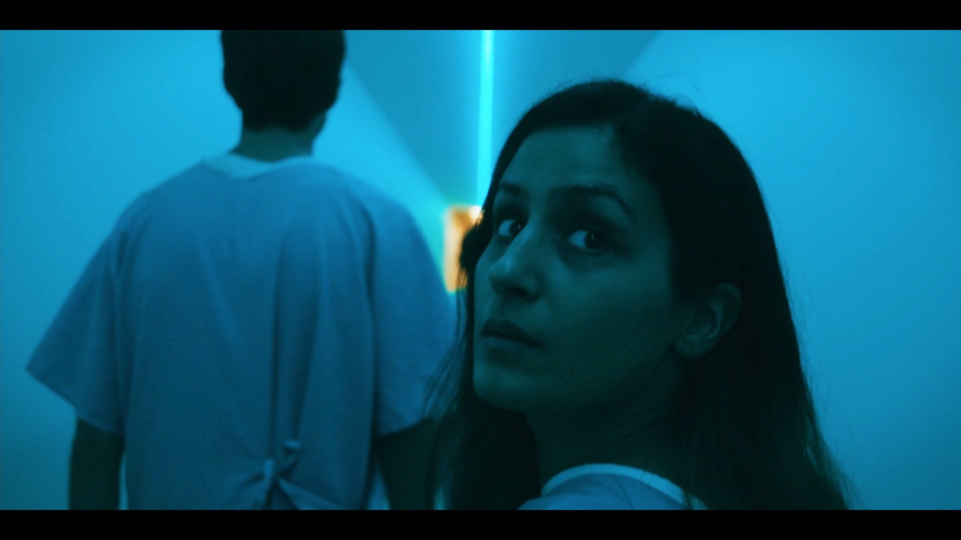 Backdrop for Residents of Arcadia