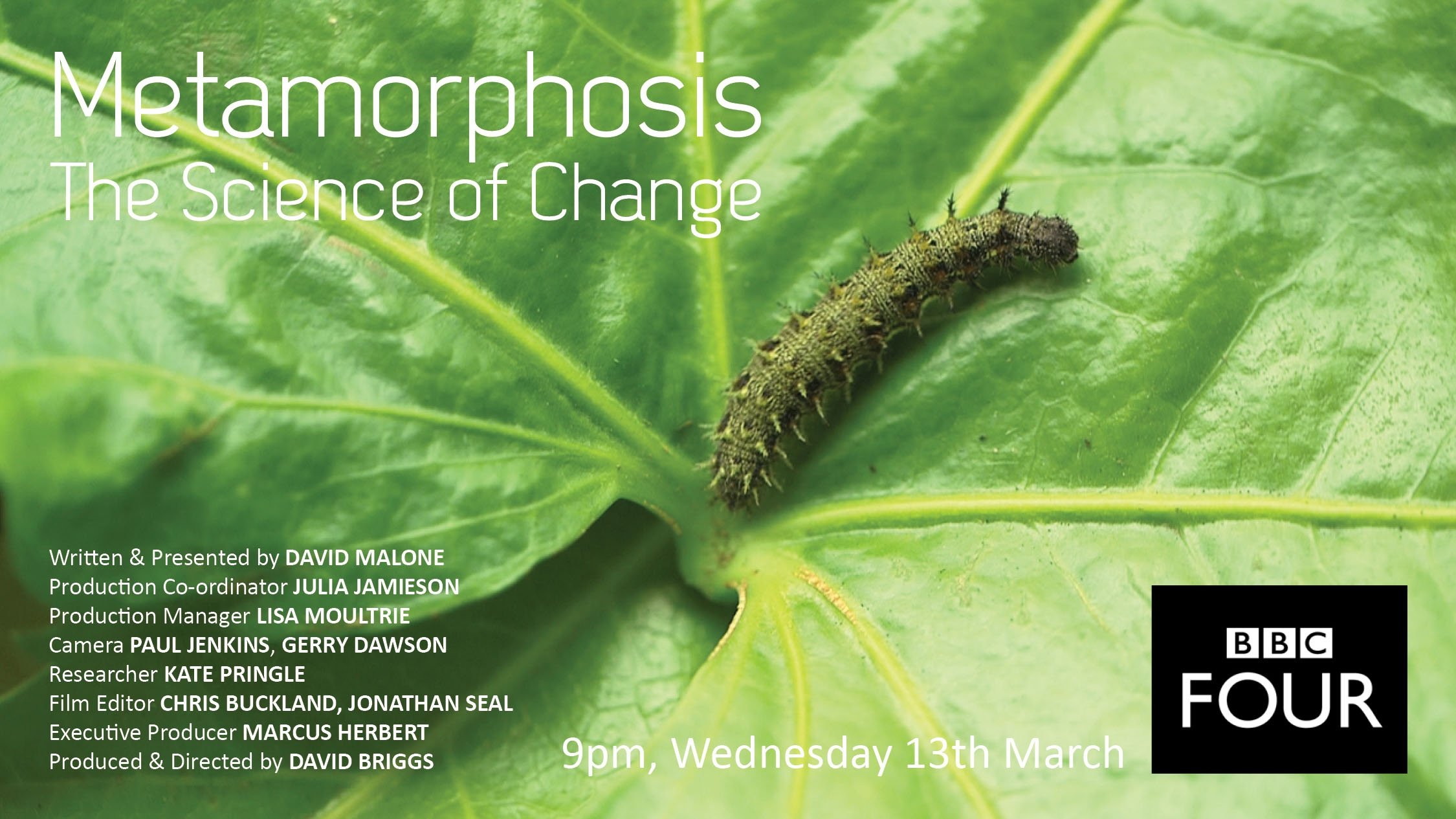 Backdrop for Metamorphosis: The Science of Change