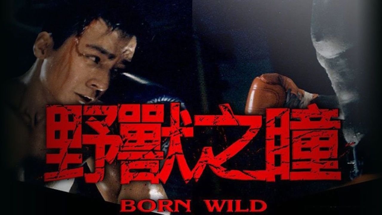 Backdrop for Born Wild