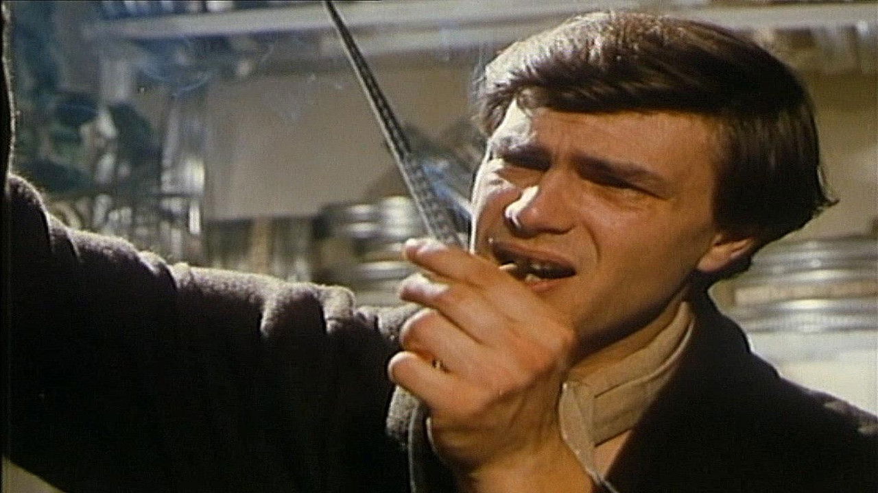 Backdrop for Sibylle