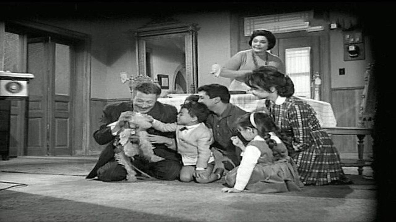 Backdrop for The Mother of the Bride