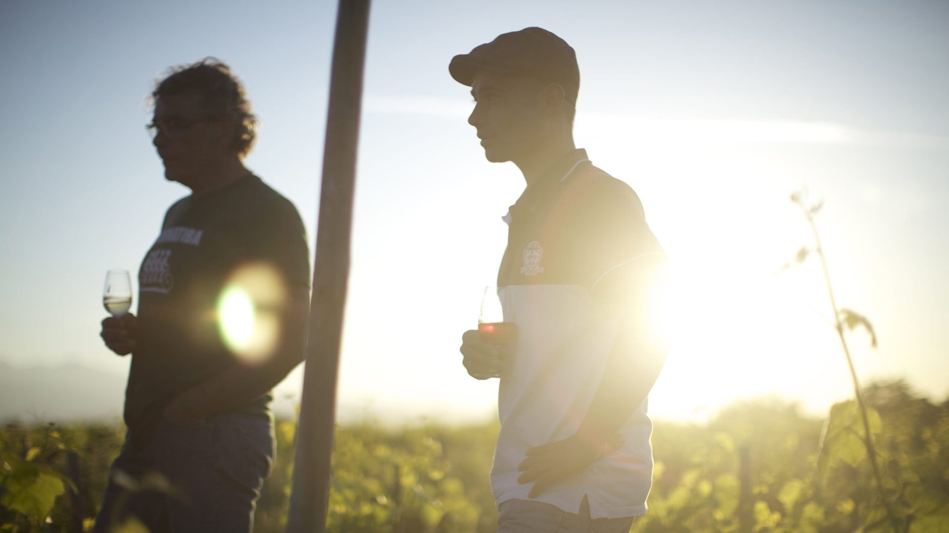 Backdrop for Wine Calling