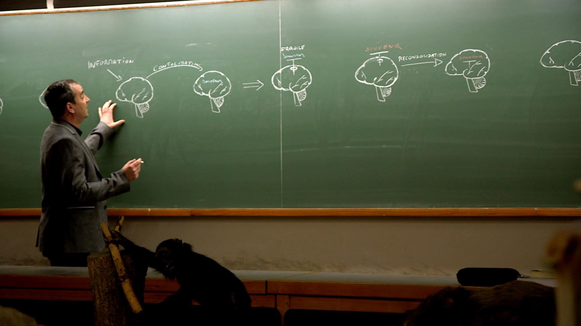 Backdrop for Tricky Memory