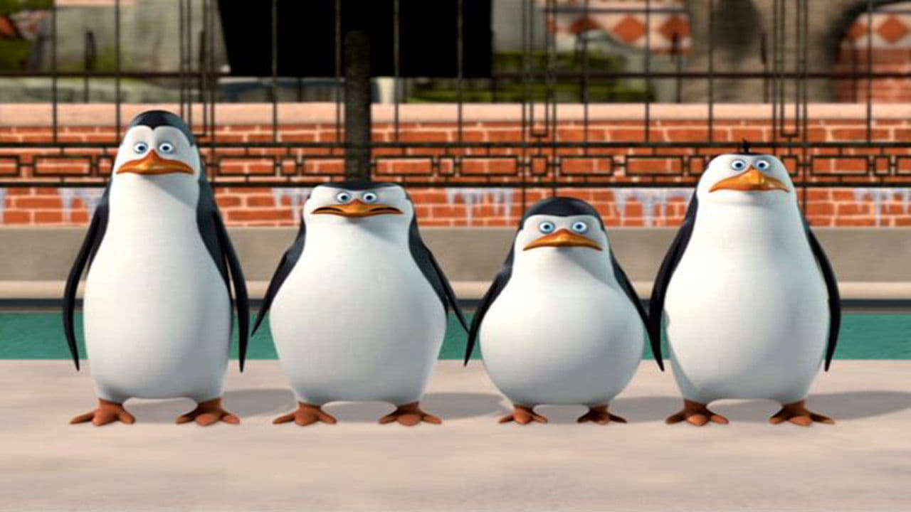 Backdrop for The Penguins of Madagascar: New to the Zoo