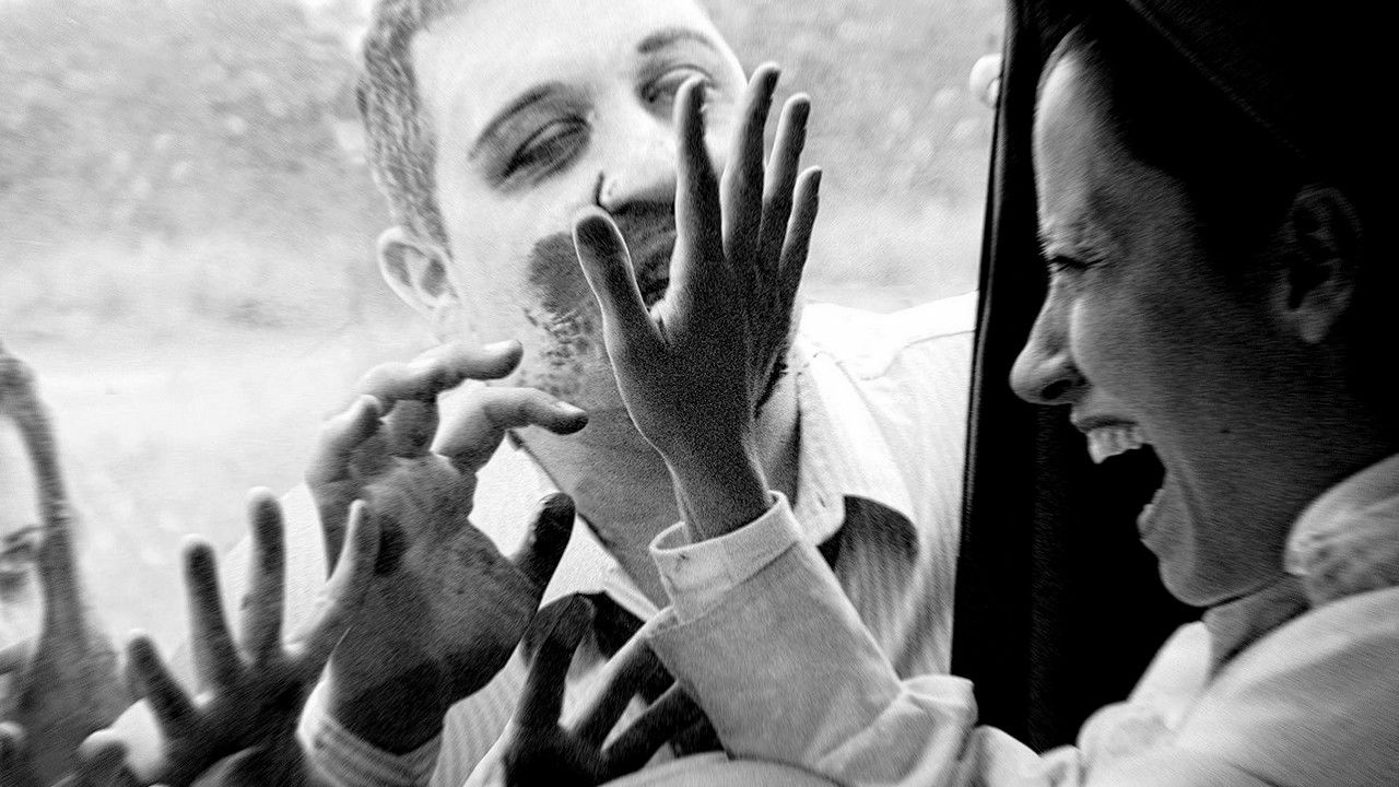 Backdrop for Zombies in the Sugar Cane Field: The Documentary