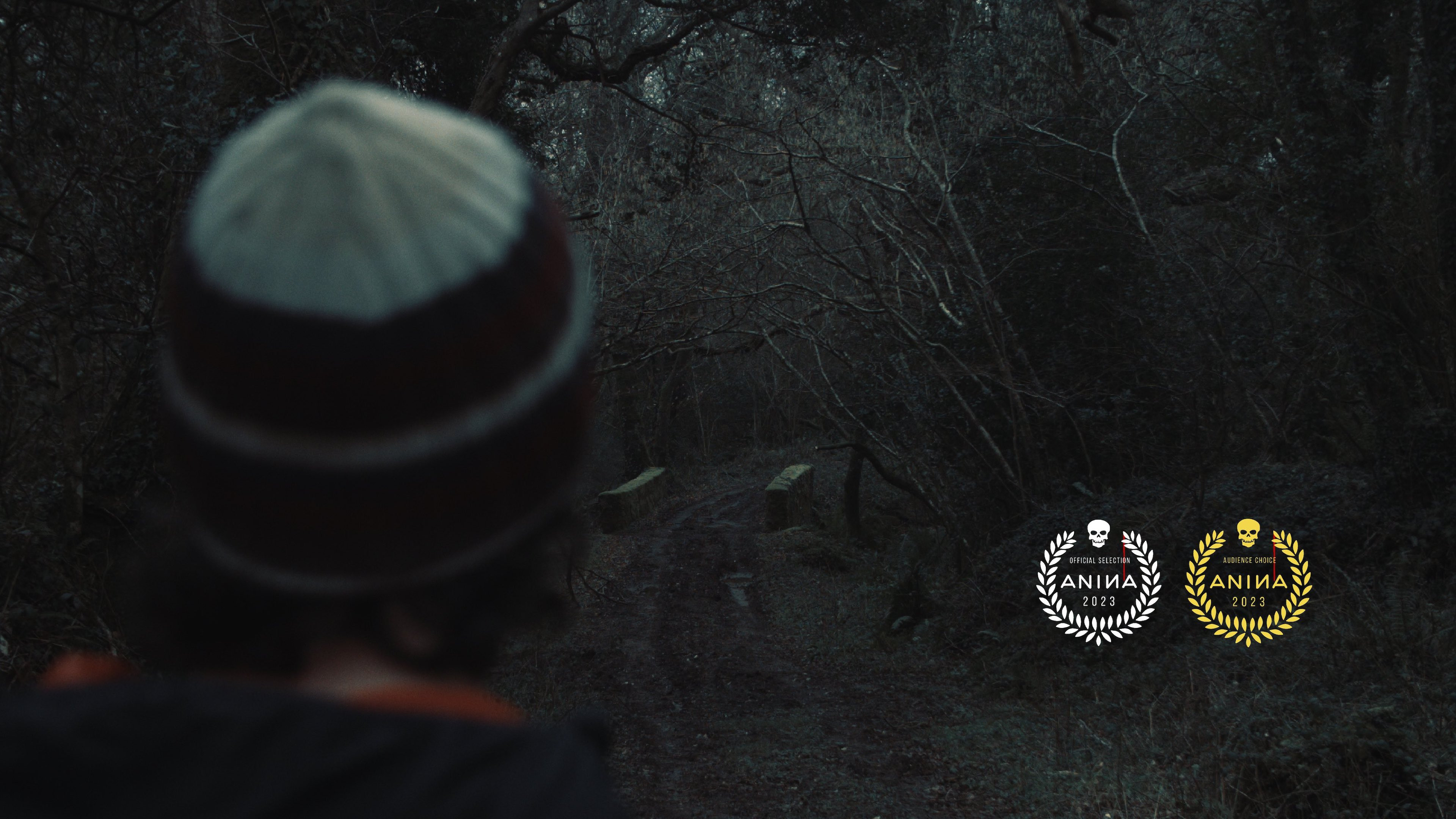 Backdrop for Into The Night