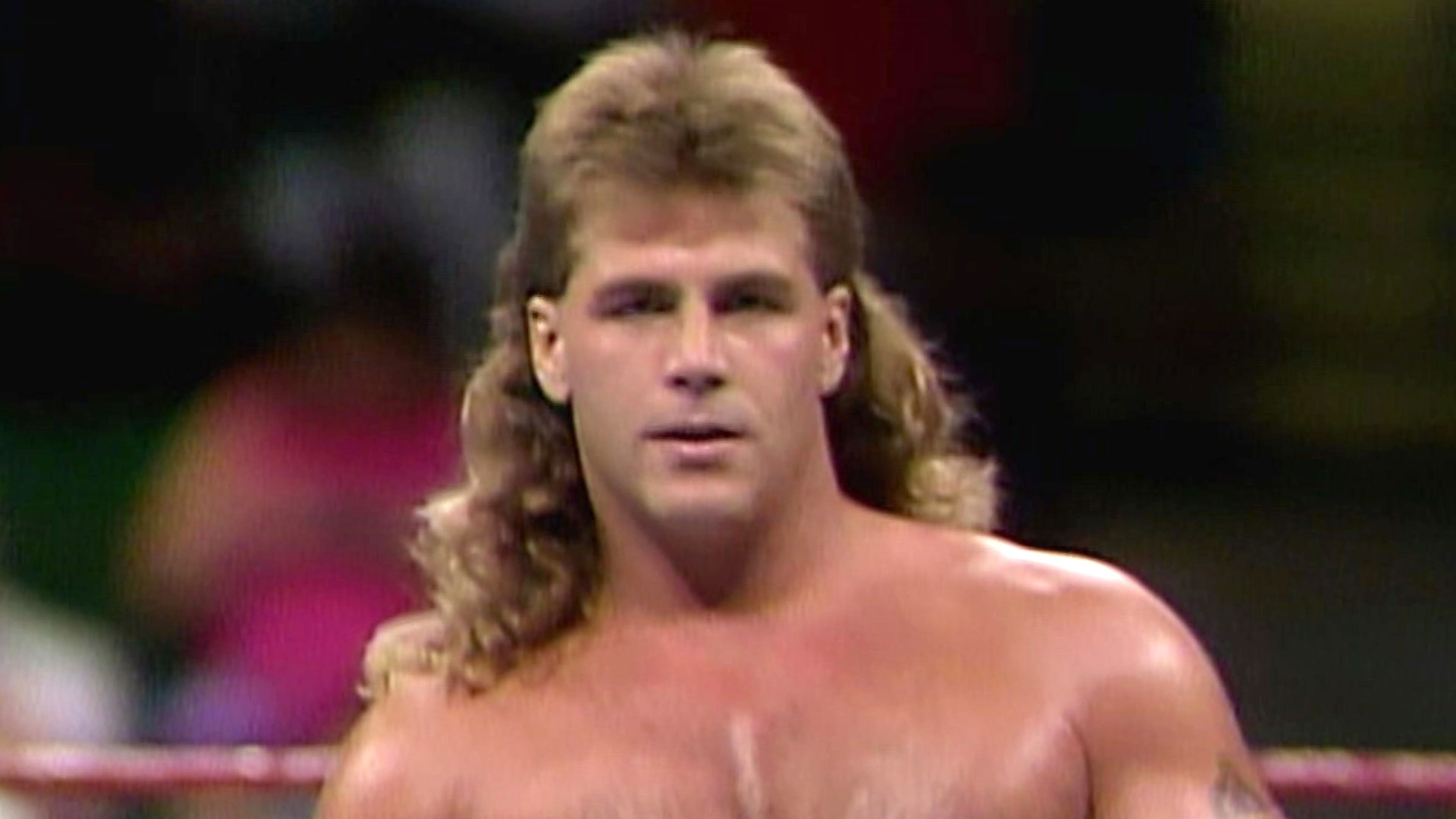 Backdrop for Shawn Michaels: Hits from the Heartbreak Kid
