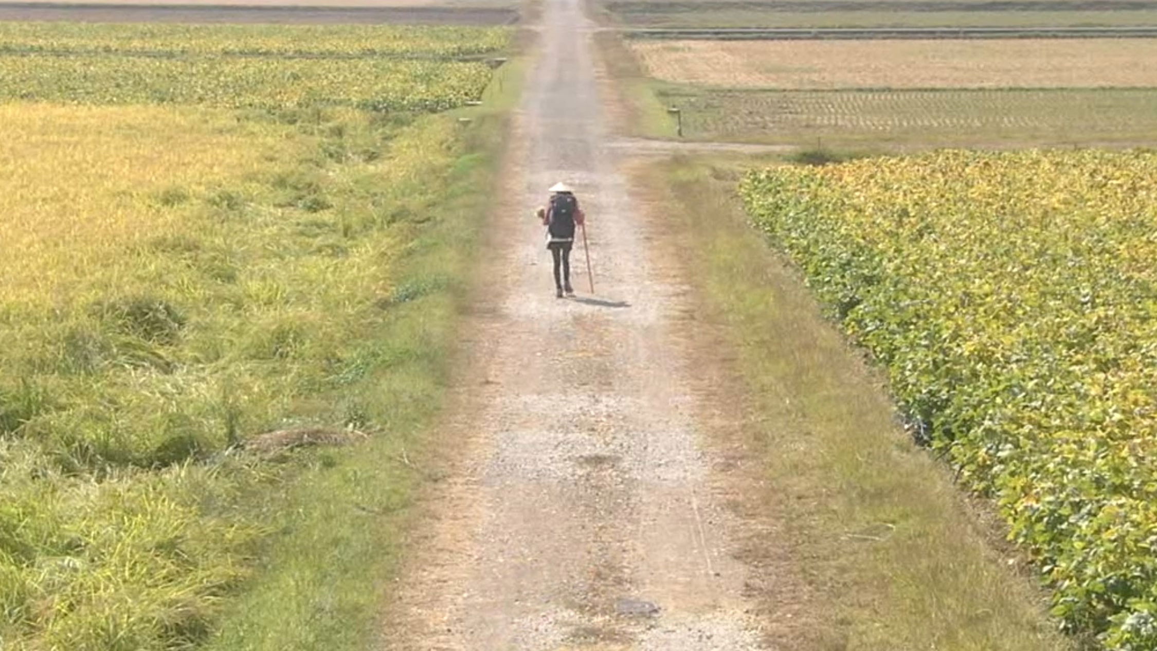 Backdrop for Walk, Walk, Walk ~ Shikoku Pilgrimage Journey