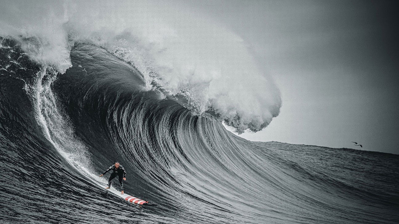 Backdrop for The Secret Life of Waves