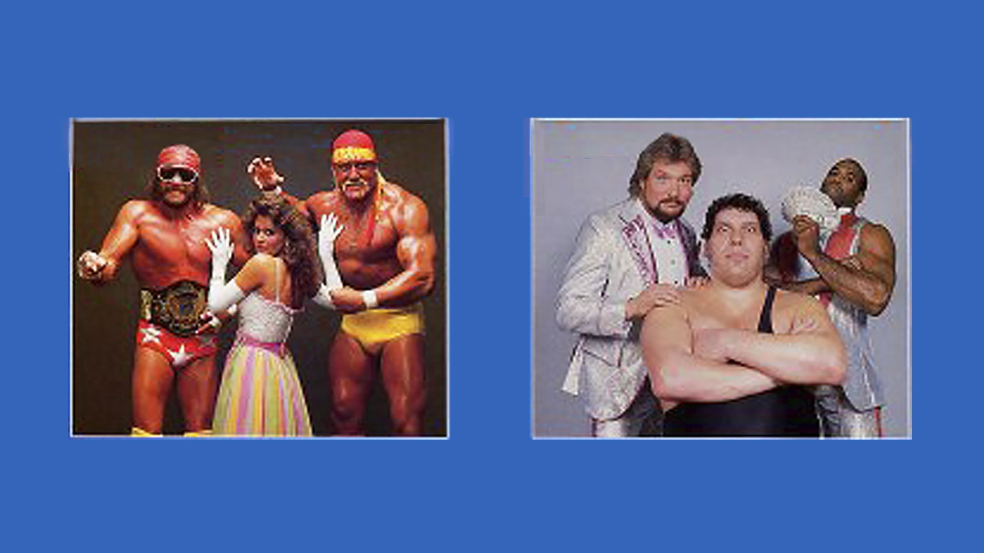 Backdrop for WWE SummerSlam 1988