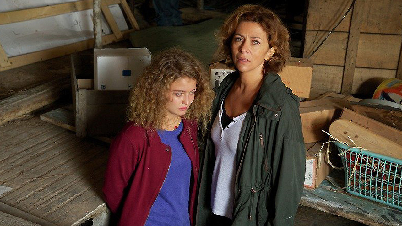 Backdrop for Julia's Curse