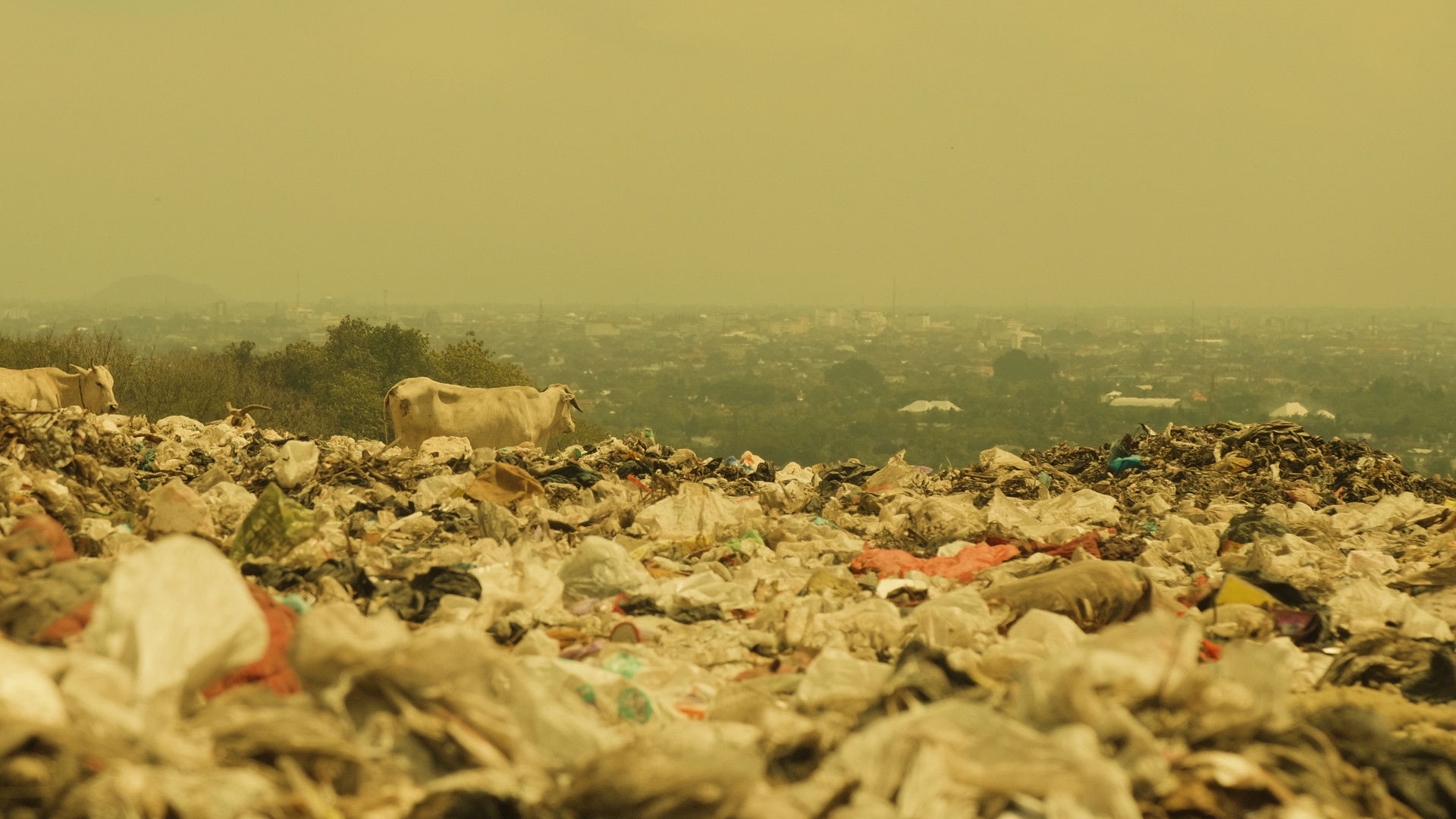 Backdrop for The Sign of Doom