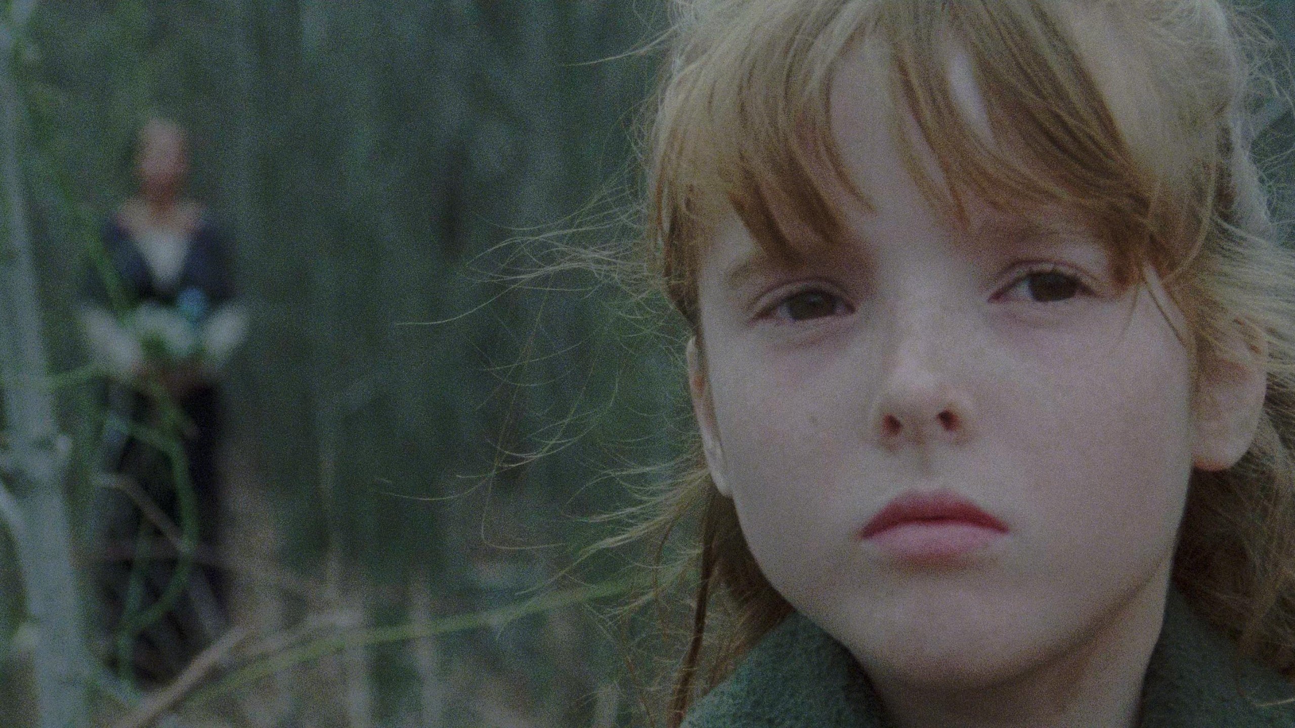 Backdrop for The House by the Cemetery