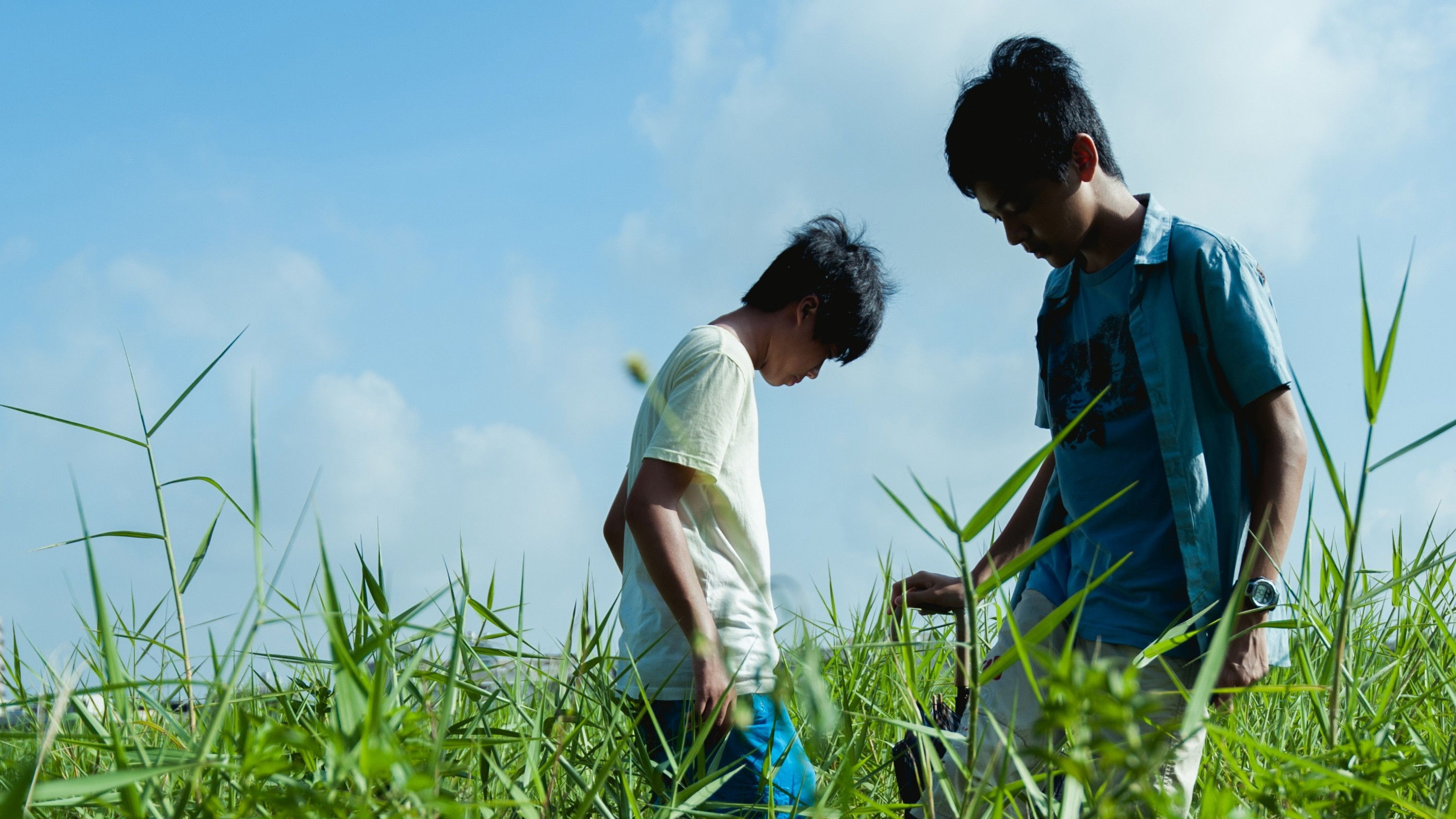 Backdrop for Summer Trifles