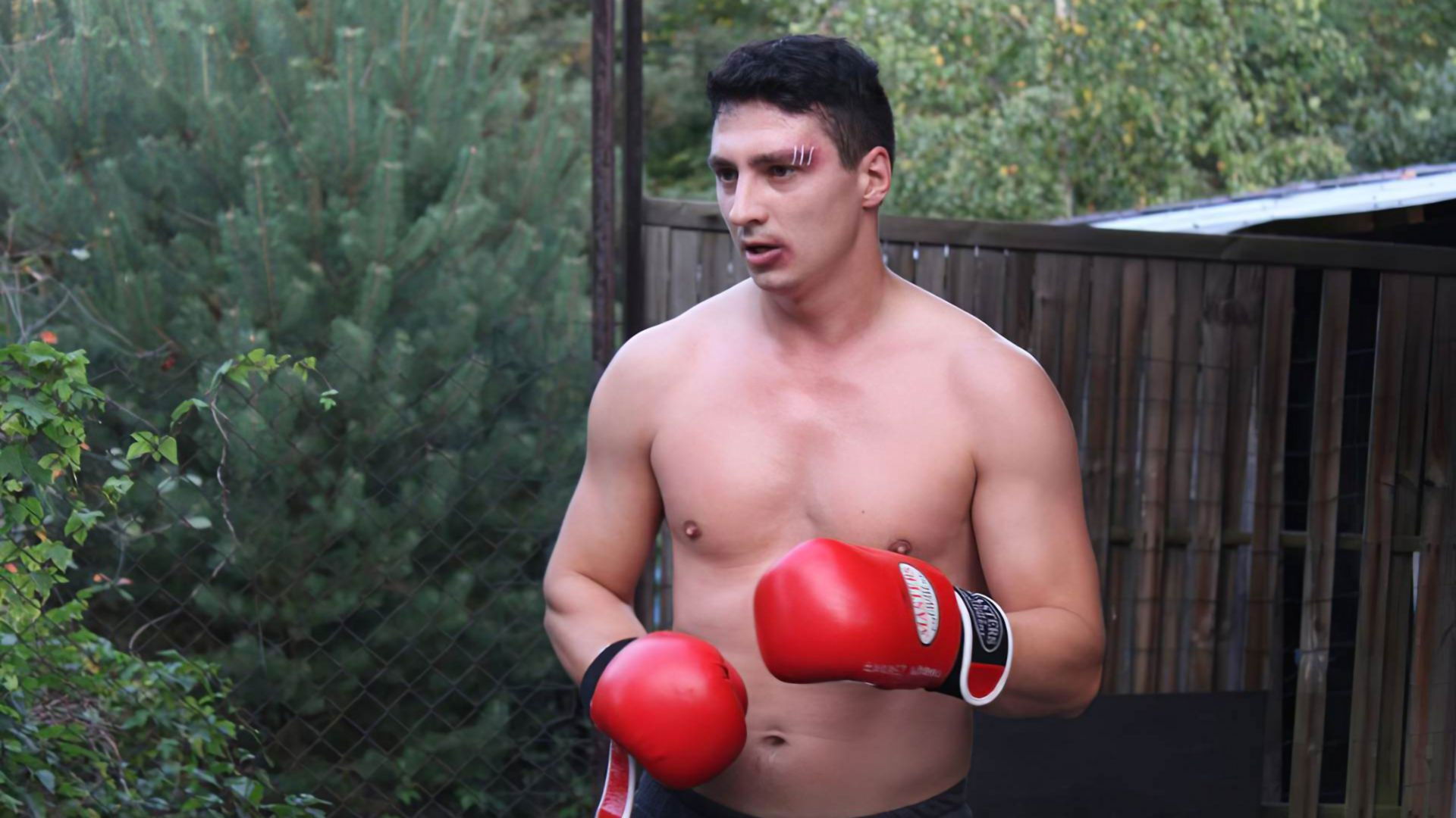 Backdrop for Serce do walki