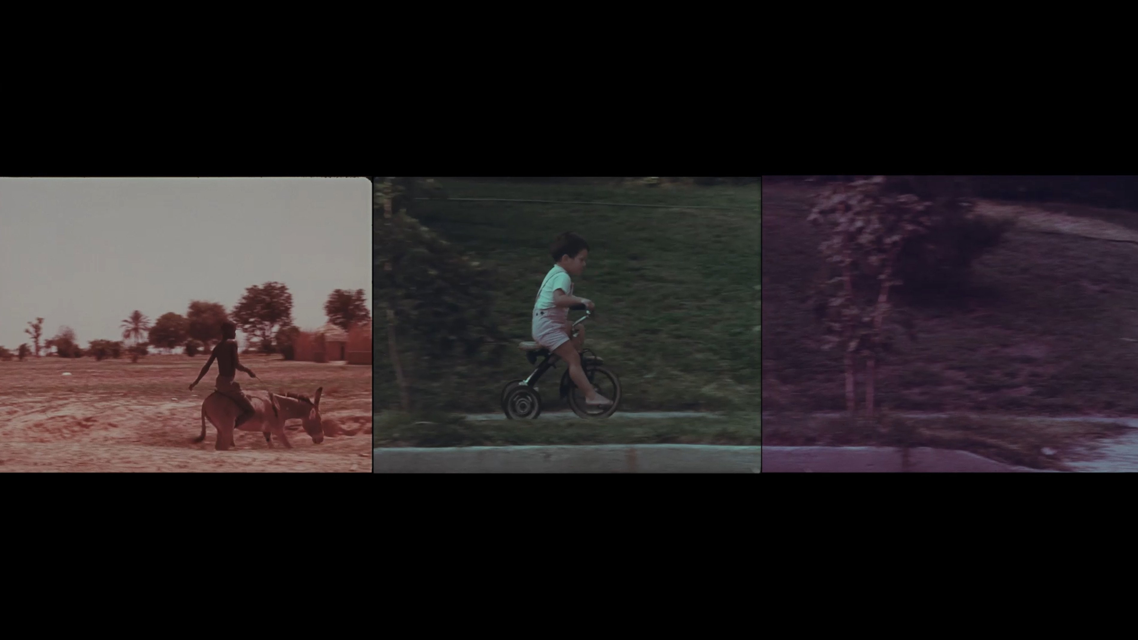 Backdrop for To Be Alive!