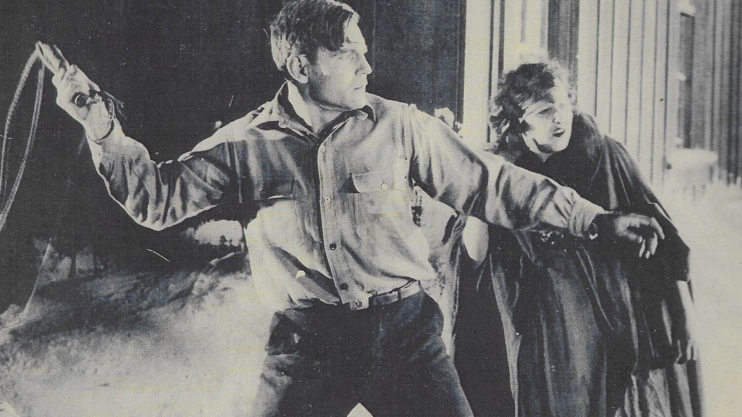 Backdrop for Snowdrift