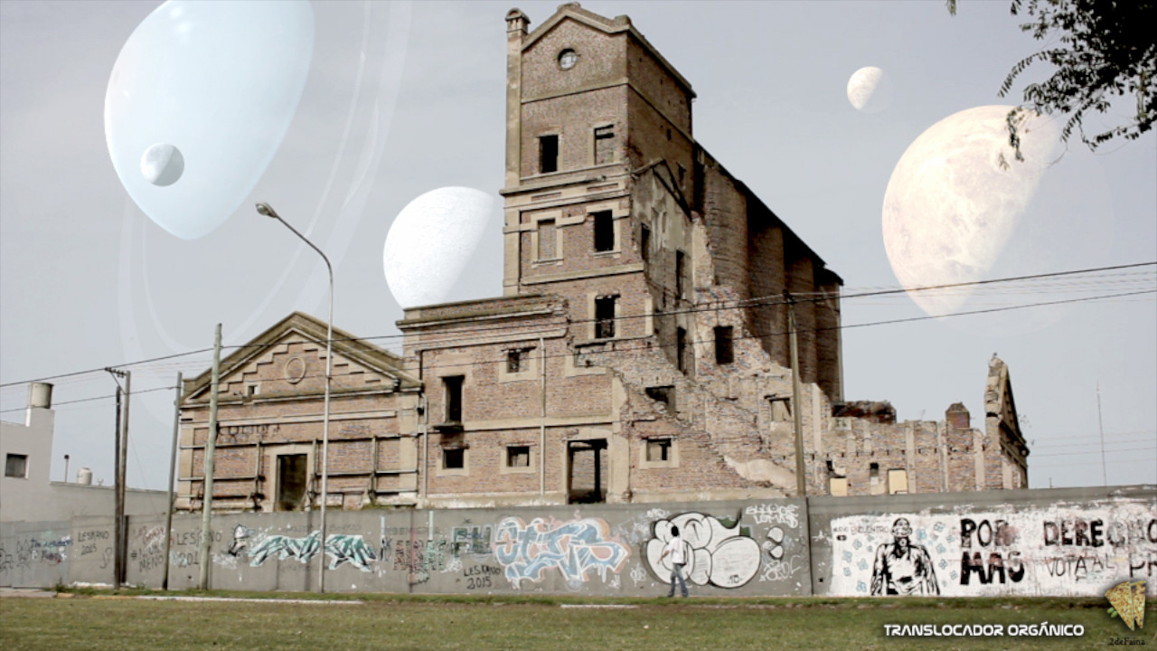 Backdrop for Organic Translocator