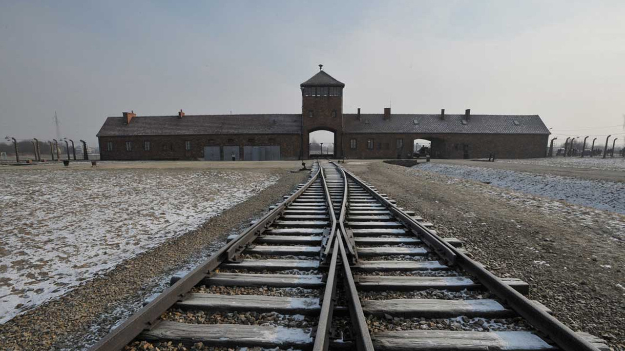 Backdrop for Born in Auschwitz