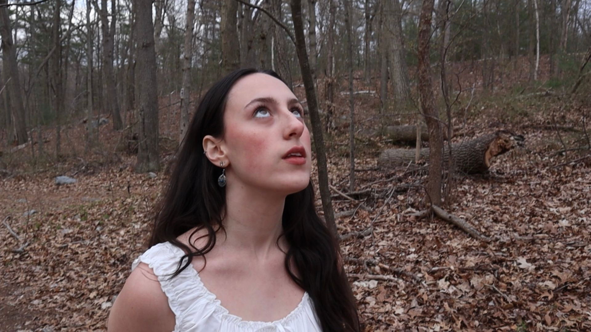 Backdrop for Sweet, Mourning Lamb