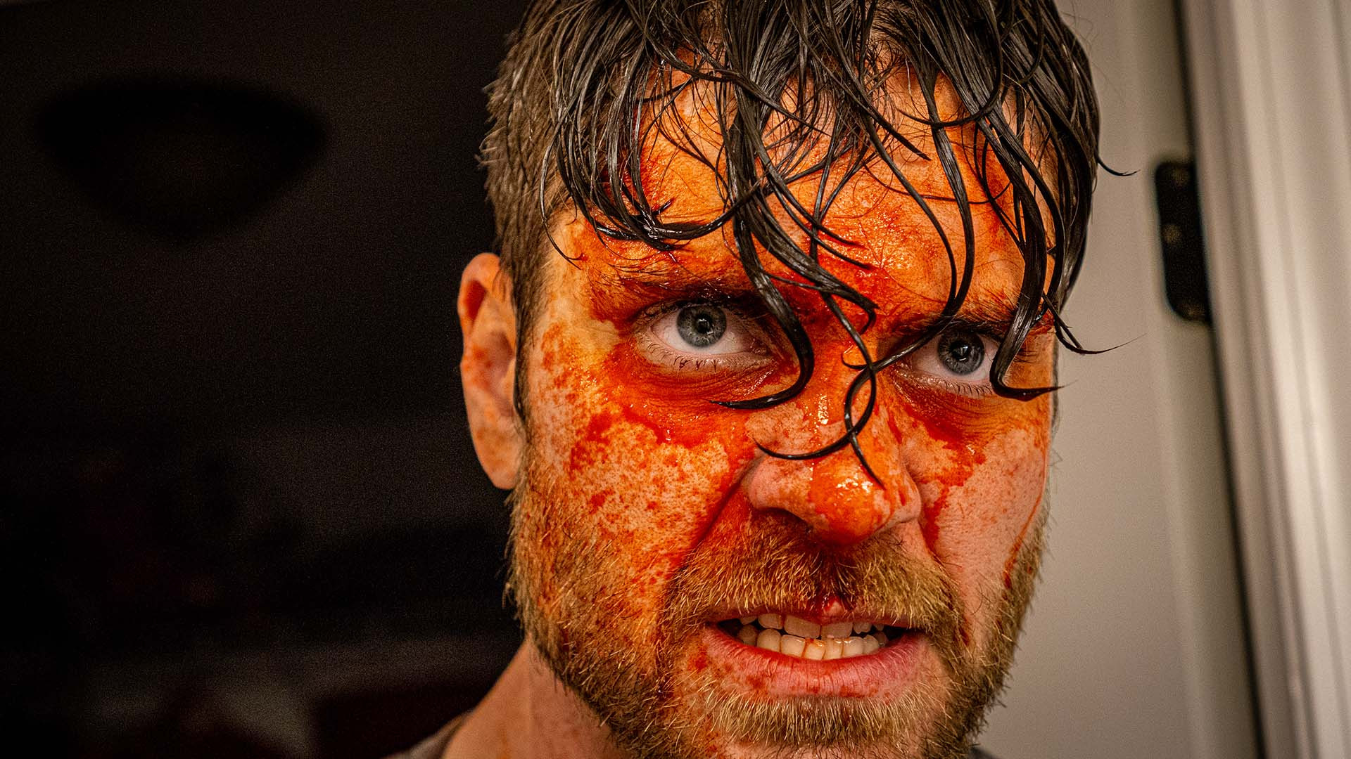 Backdrop for Quiet, Pretty Things