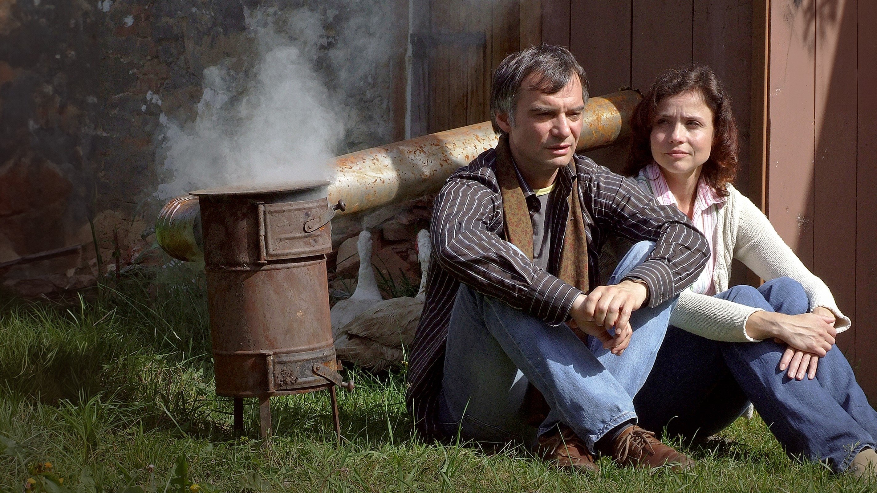 Backdrop for Šejdrem