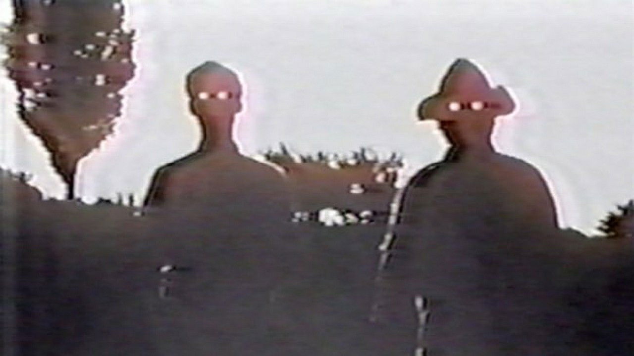 Backdrop for Border Camera